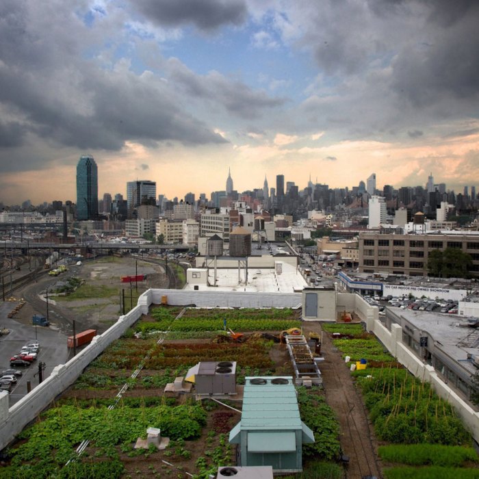 urban farming